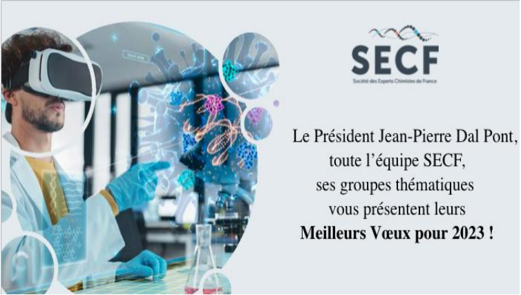 SECF Newsletter Banner