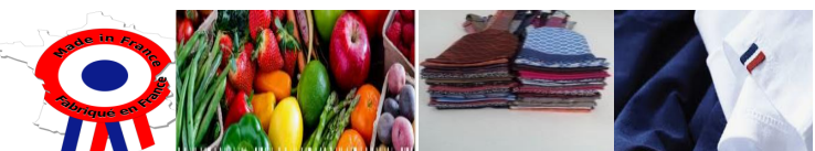 SECF Content Image