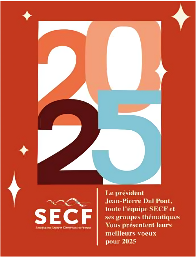 SECF Newsletter Banner